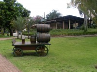 /album/galeria-de-fotos/imagem-281-jpg/